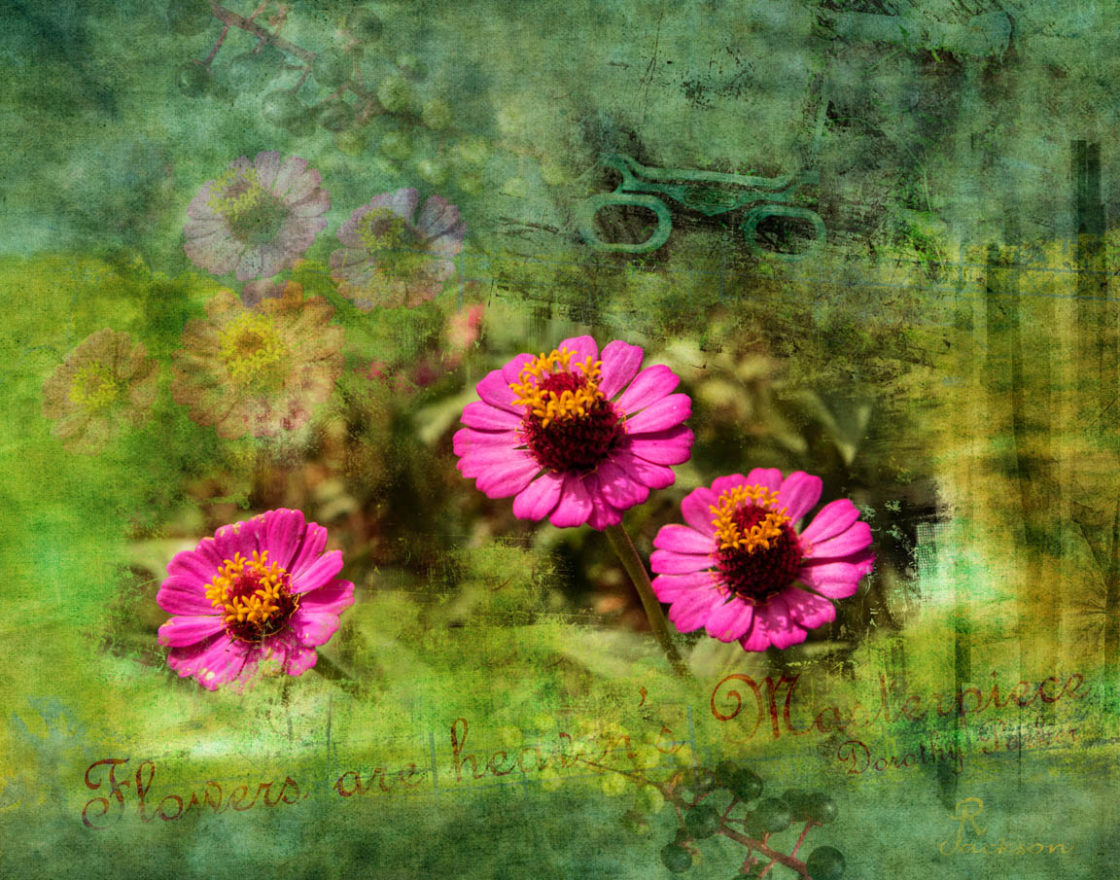 A pink flower composite